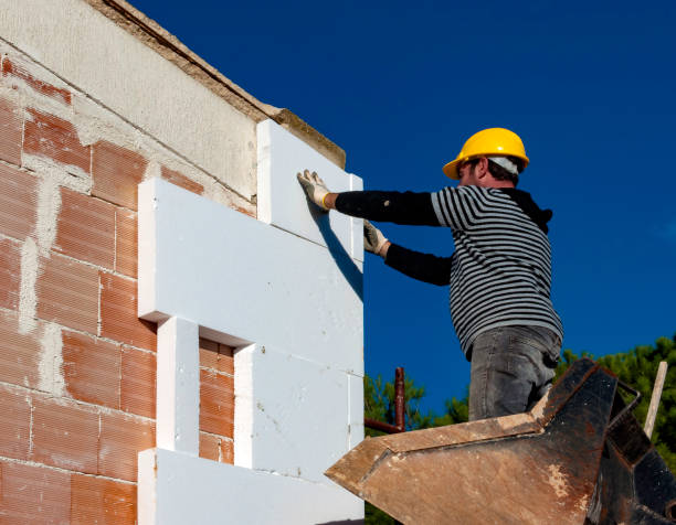 Professional Insulation Contractor in Riverview, FL