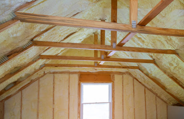 Professional Insulation Contractor in Riverview, FL