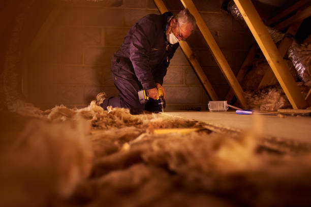 Best Insulation for Specific Applications in Riverview, FL